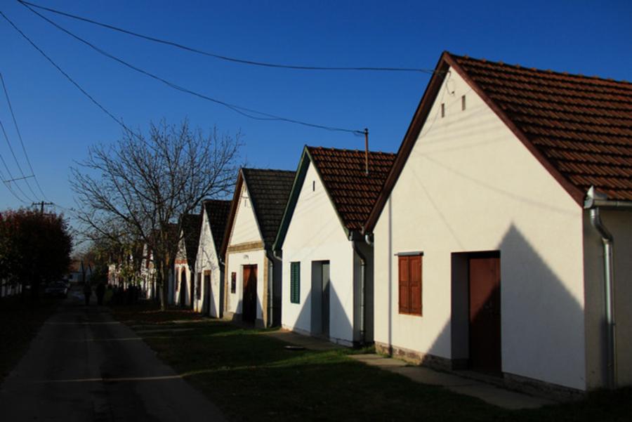 Hungarian Germans