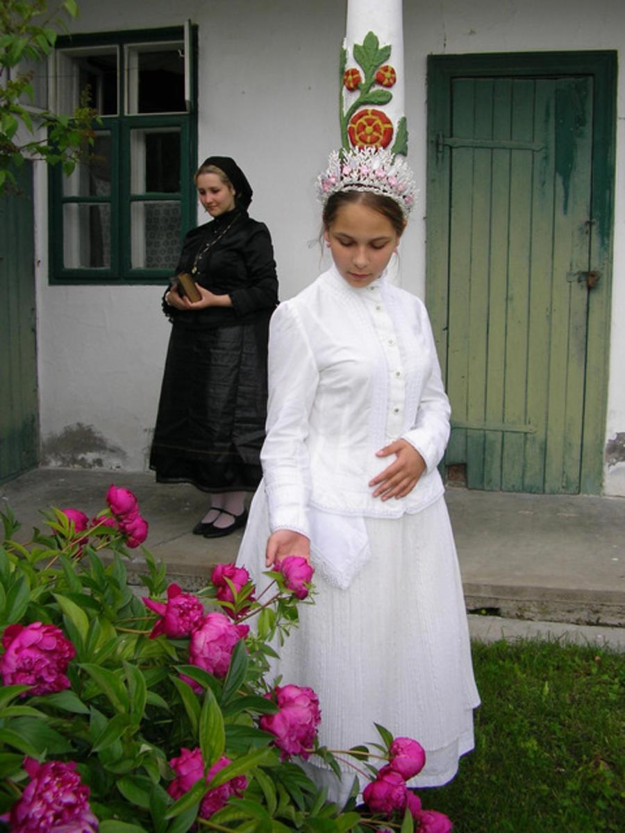 Hungarian Germans