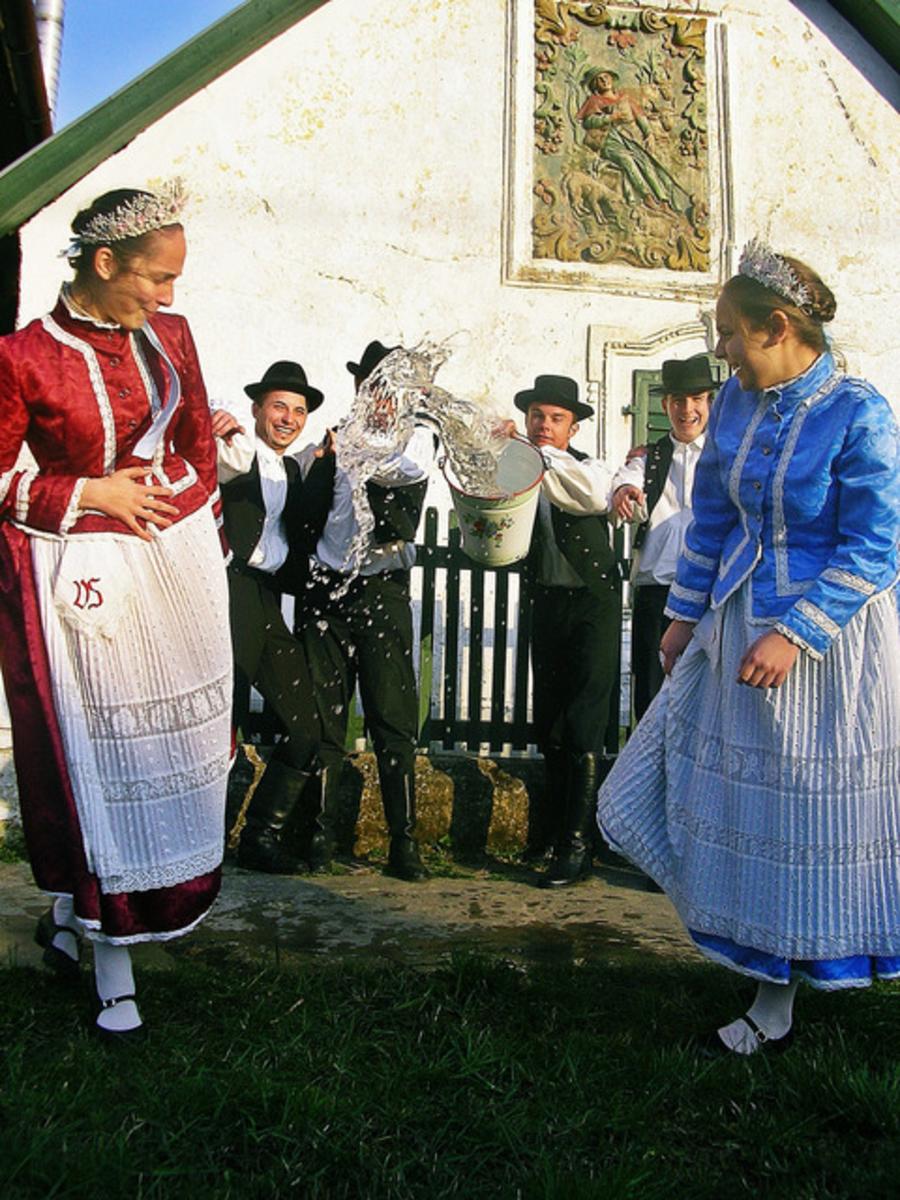 Hungarian Germans