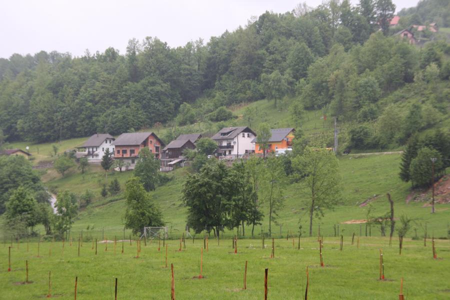 Gottschee Germans